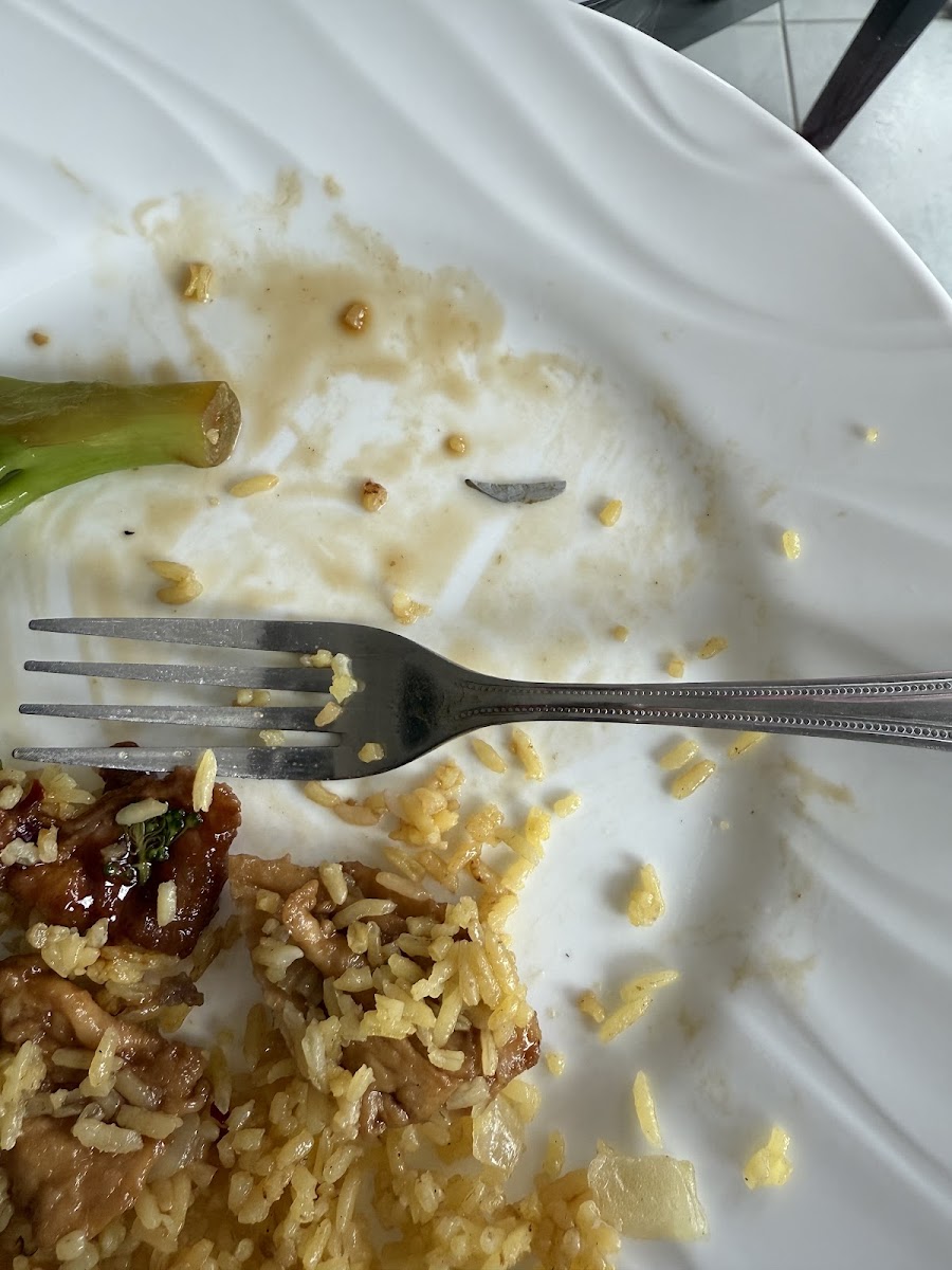 Hong Kong Kitchen Photos 2